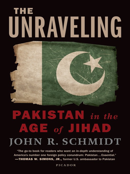 Title details for The Unraveling by John R. Schmidt - Wait list